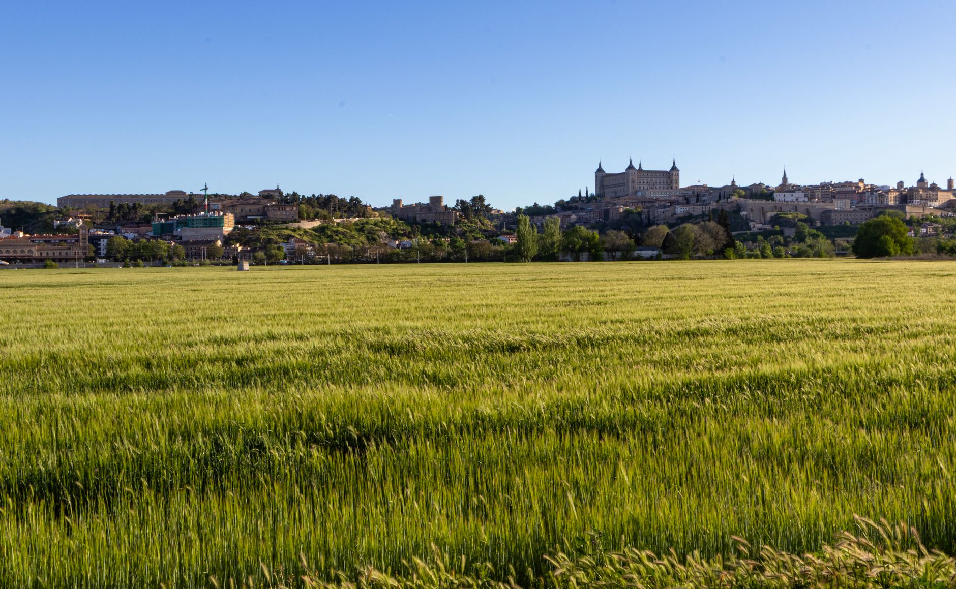 El secreto del trigo y el sarmiento: la liturgia del Mercado Central de Logroño y los tesoros de La Rioja Alta