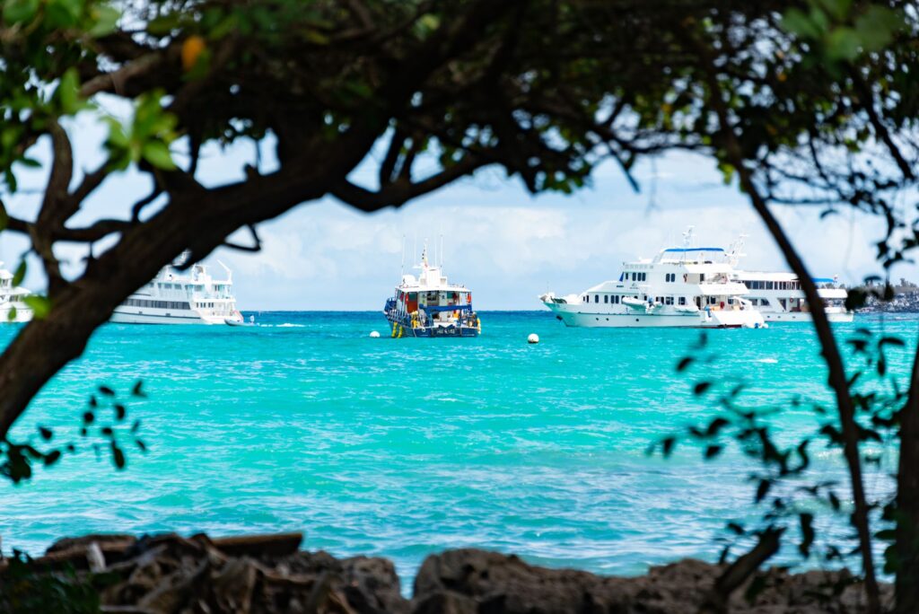 Navegar las Galápagos: El archipiélago indómito a través de nueve singladuras esenciales