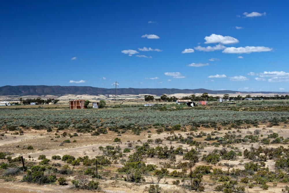 The Overland Railway and Rail Connectivity Between Melbourne and Adelaide: History, Engineering, and Travel Logistics