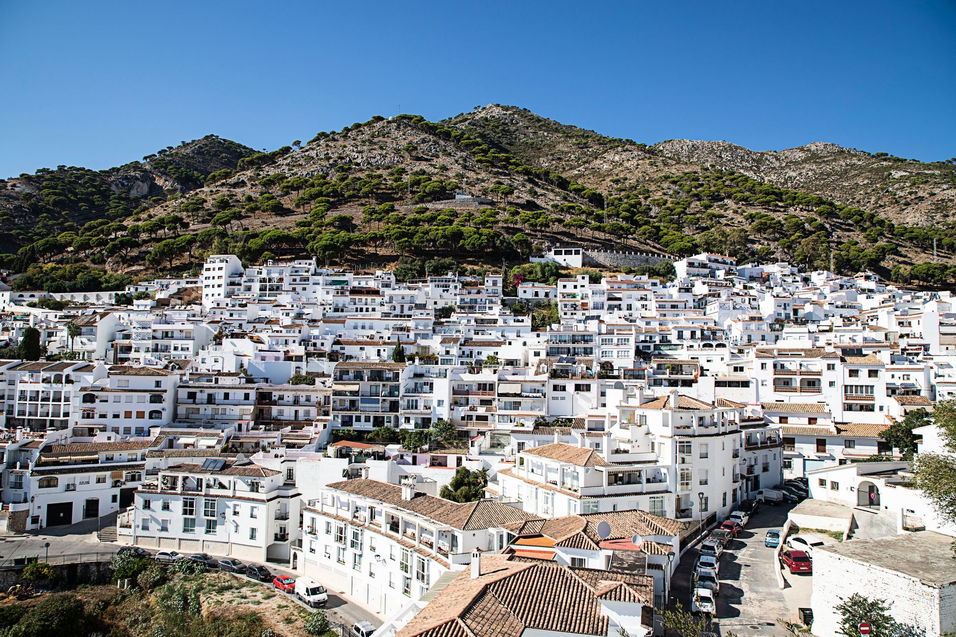 El secreto de la manteca colorá: la cocina de memoria y despensa en los pueblos blancos de Cádiz