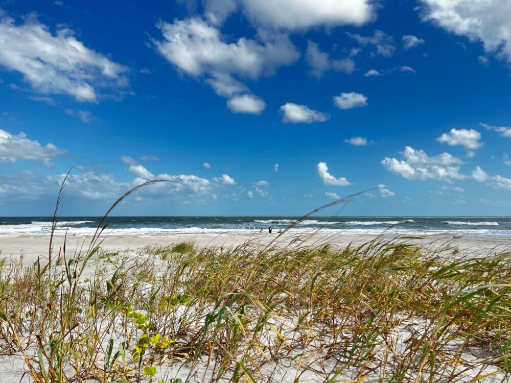 Cuarenta y ocho horas en Amelia Island: El refugio atlántico de Florida