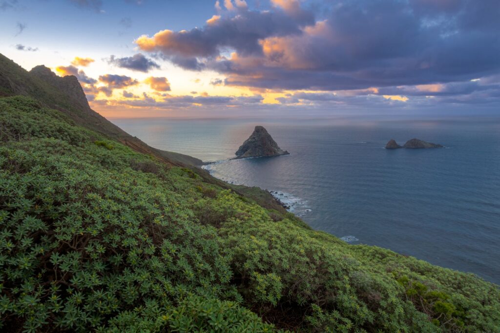 La Travesía de las Islas de los Canales: Guía de Navegación Costera y Expedición Oceánica por el Pacífico Californiano