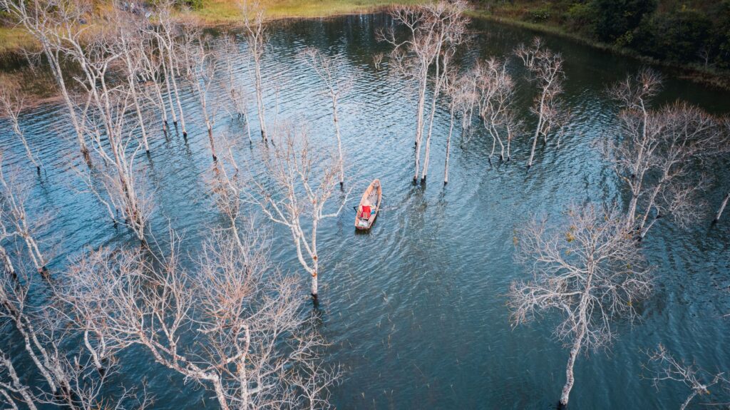 El Santuario Fluvial de Kakadu: Dinámicas de Inundación, Avifauna y Conservación en el Top End Australiano