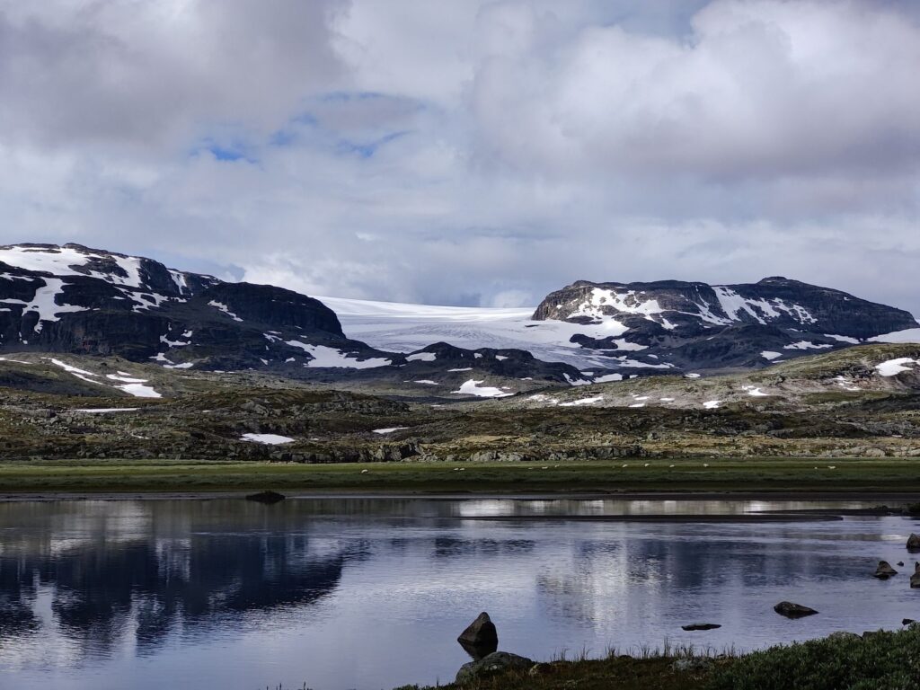 La Travesía del Ferrocarril de Bergen: Guía de Expedición y Logística Ferroviaria por las Alturas de los Fiordos de Noruega