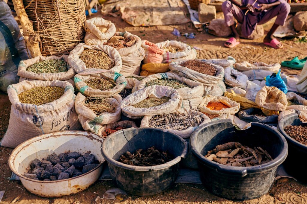 Más allá del algoritmo: El arte de preguntar a la IA para descubrir los mercados del mundo