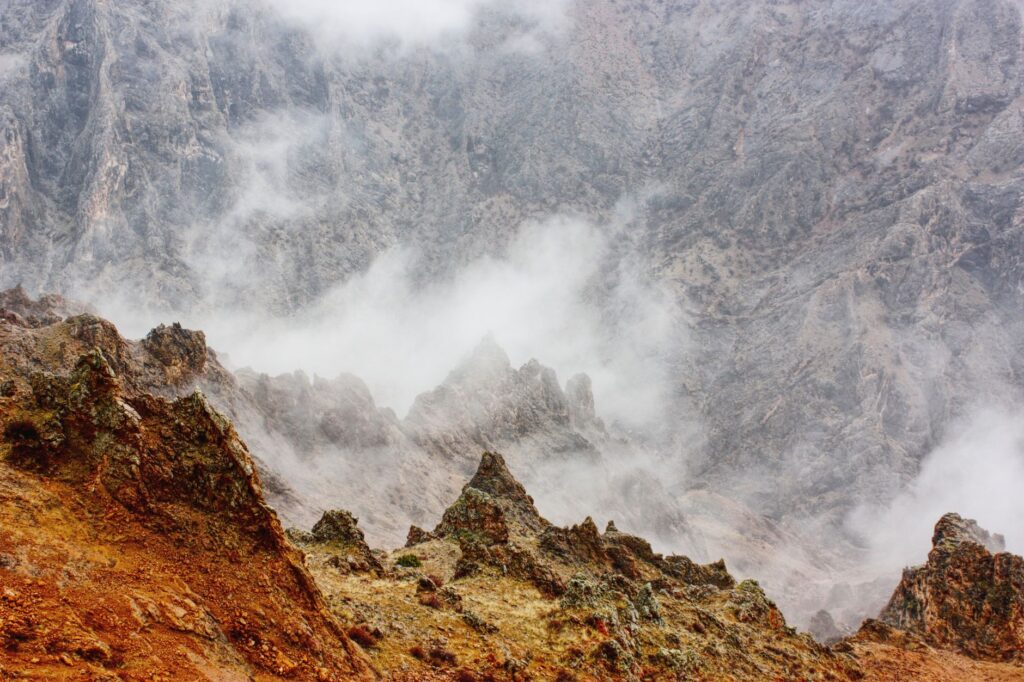 El Refugio de la Gacela de los Acantilados en los Montes Simien: Biología, Corredores Rupícolas y Conservación en el Techo de África