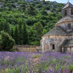 El silencio milenario de los baños de vapor de la Provenza: hidroterapia de lavanda y arquitectura de piedra en los valles del Luberon