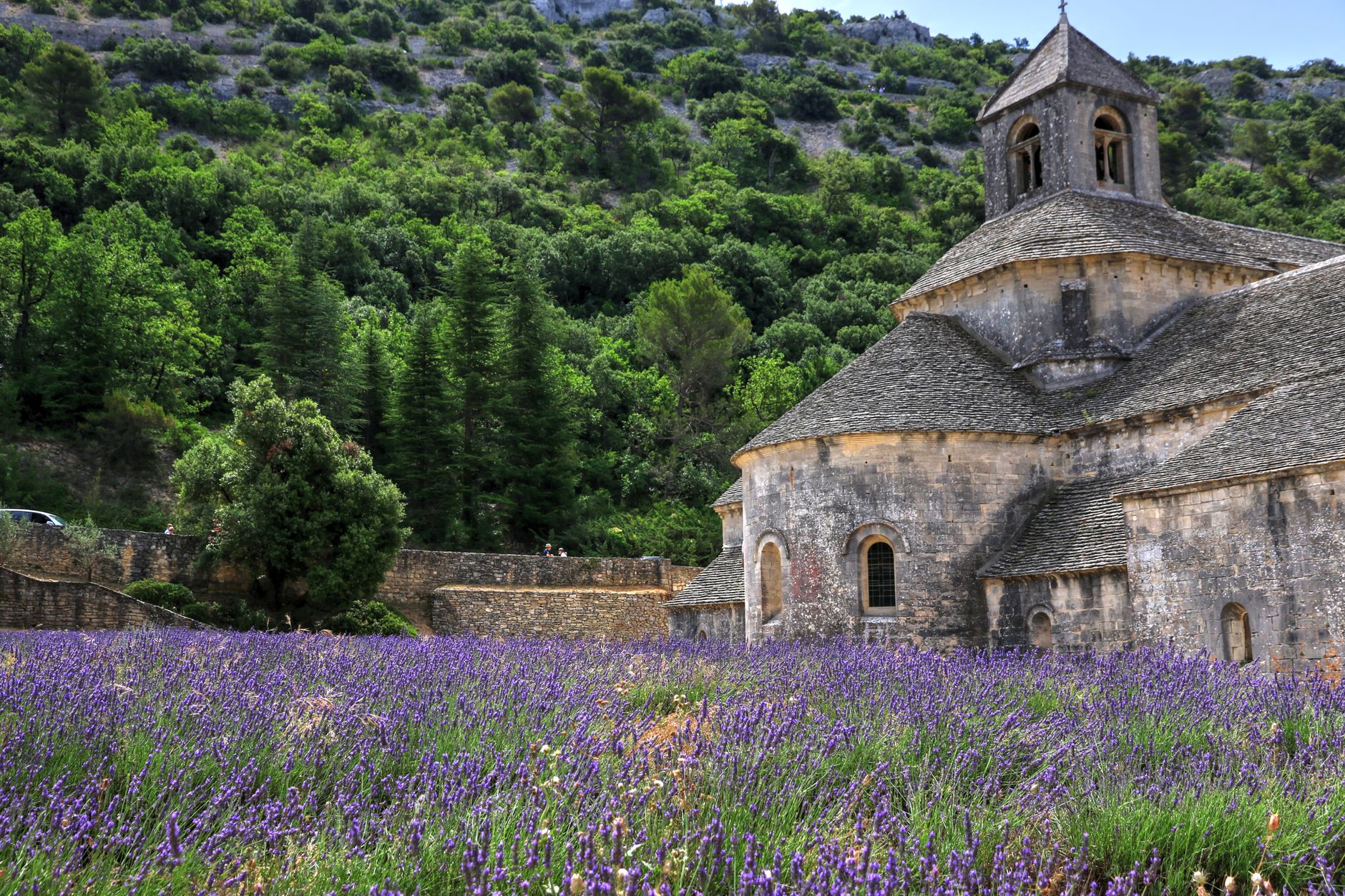 El silencio milenario de los baños de vapor de la Provenza: hidroterapia de lavanda y arquitectura de piedra en los valles del Luberon