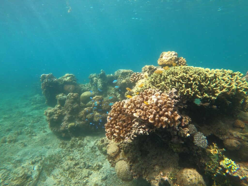 El ocaso del paraíso: por qué Ko Lipe ya no es el refugio que fue