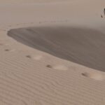Namibia: del desierto al océano entre dunas colosales y la fría Costa de los Esquelets