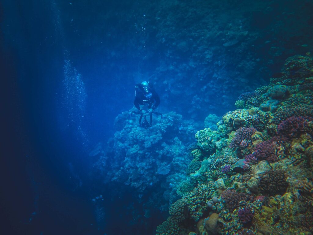 El Santuario Submarino del Mar de Banda: Corrientes Profundas, Volcanes Submarinos y Conservación en el Triángulo de Coral