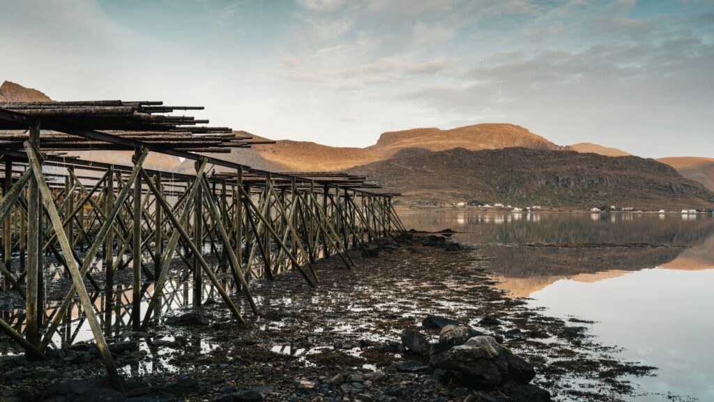 El laberinto de los archipiélagos boreales: cómo los transbordadores eléctricos y las rutas ciclistas interinsulares transforman la movilidad en las islas Lofoten