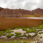 El latido de los páramos andinos: cómo la restauración de bofedales y la gobernanza comunitaria transforman la conservación en el Parque Nacional Sangay