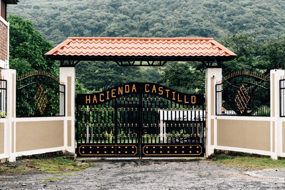 Hacienda San Antonio El Puente: El refugio morelense donde viajar con tu perro es una experiencia sin fisuras