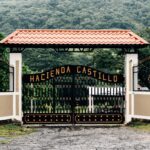 Hacienda San Antonio El Puente: El refugio morelense donde viajar con tu perro es una experiencia sin fisuras