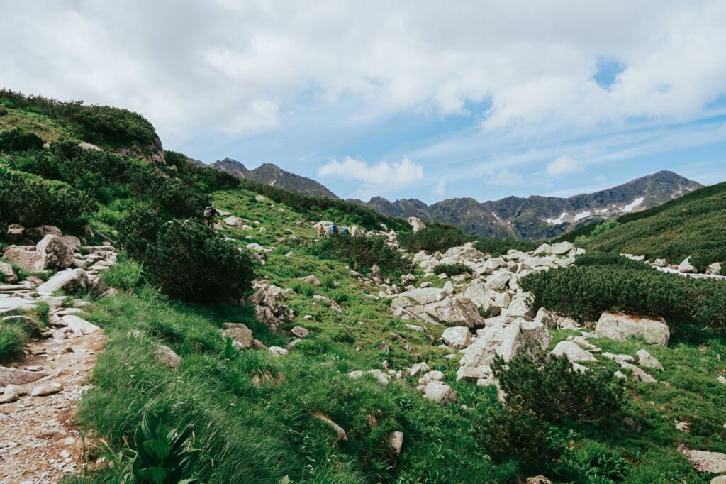 El Refugio de la Marmota Alpina en el Parque Nacional de los Tatras: Biología, Climatología de Alta Montaña y Conservación en los Cárpatos
