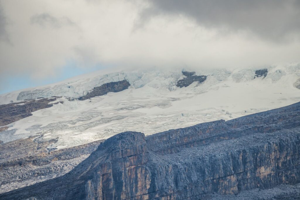 El refugio del cóndor andino en el Parque Nacional El Cocuy: biología de altura, termorregulación y conservación en los paredones de Boyacá