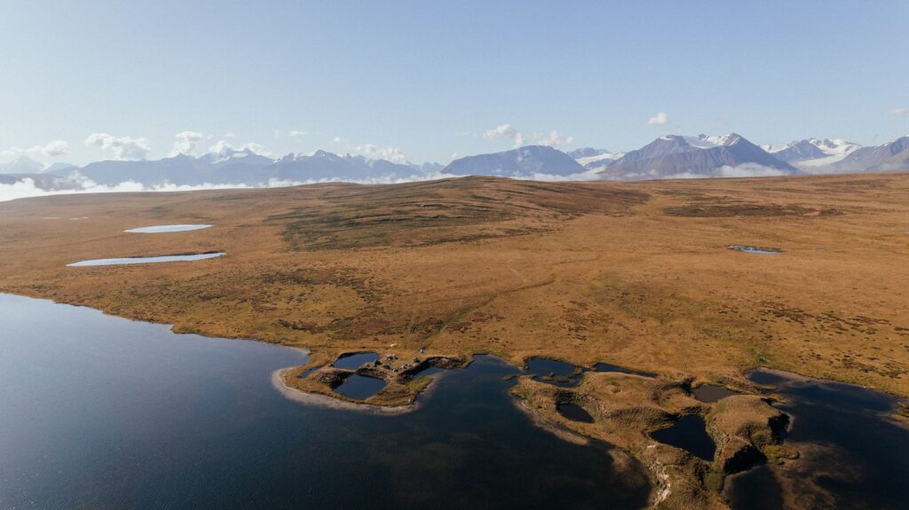 El Refugio del Lobo Ártico en el Parque Nacional Gates of the Arctic: Biología, Aislamiento y Conservación en la Tundra