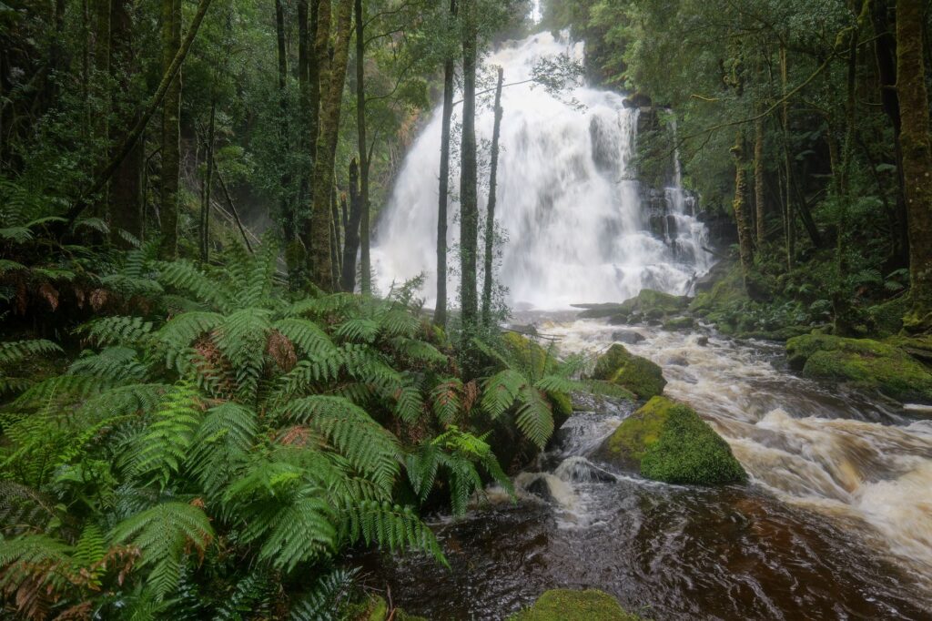 El latido intermodal de la región de los fiordos de Tasmania: Veleros de cabotaje, carreteras forestales y la frágil conectividad de la costa occidental australiana
