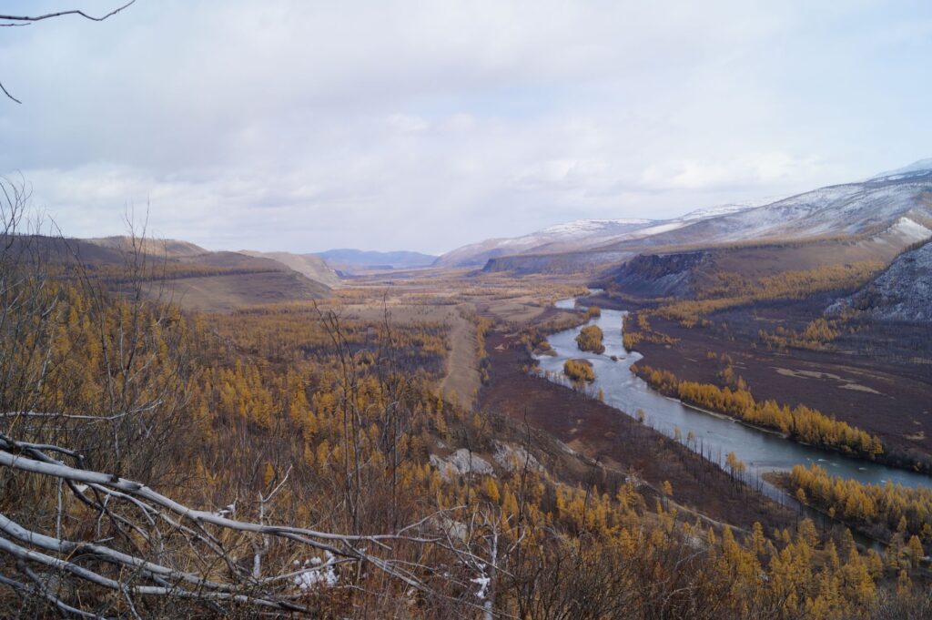 El latido ártico del Kungsleden: caminata y renos bajo el sol de medianoche
