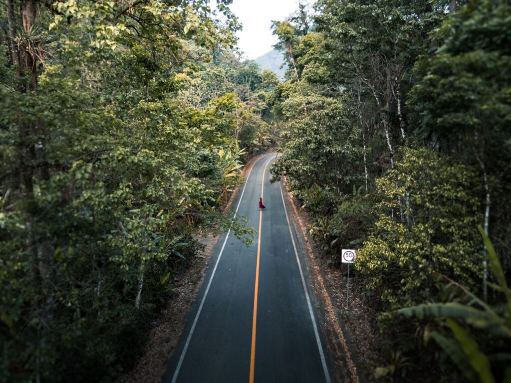 El Refugio del Casuario en las Selvas de Daintree: Biología, Ecología de la Selva Tropical y Conservación en el Trópico Australiano