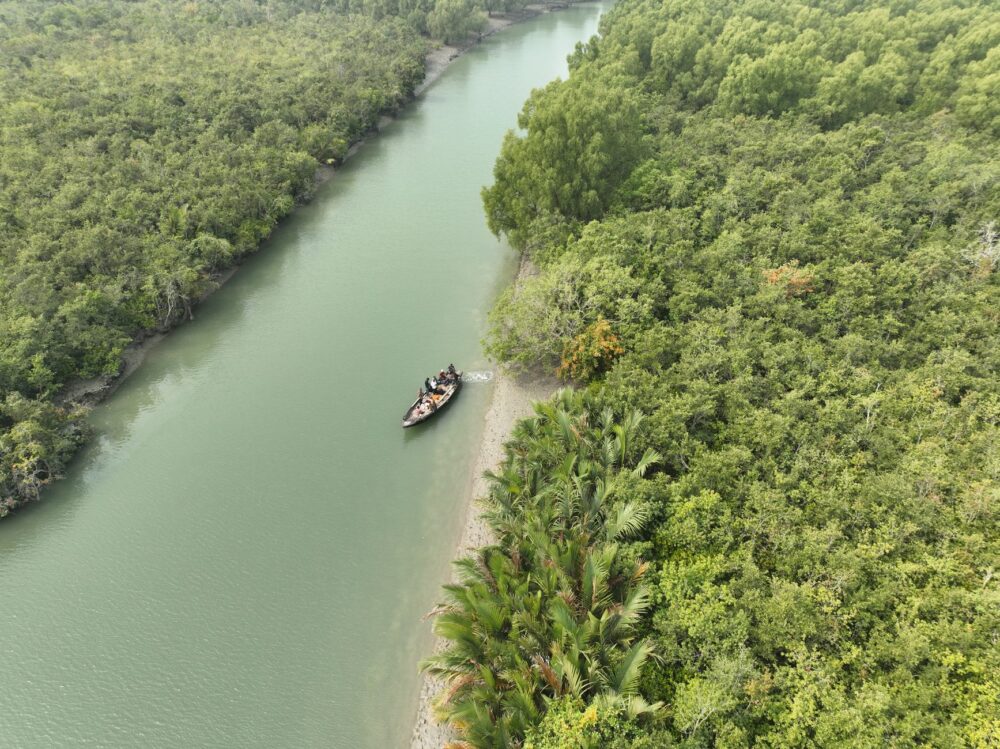 El refugio de los gigantes acorazados: cómo una guía transformó el ecoturismo en la India salvaje