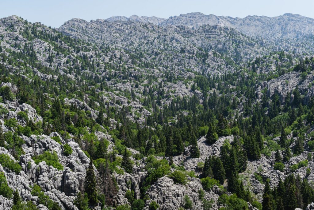El Refugio de la Gamuza de los Alpes Dináricos: Biología, Corredores Kársticos y Conservación en el Parque Nacional de Durmitor