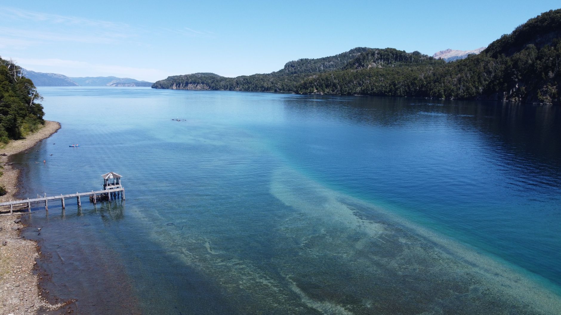 El Santuario Submarino del Mar de los Avíos: Corrientes de Marea, Endemismo Abisal y Conservación en el Estrecho de Cook