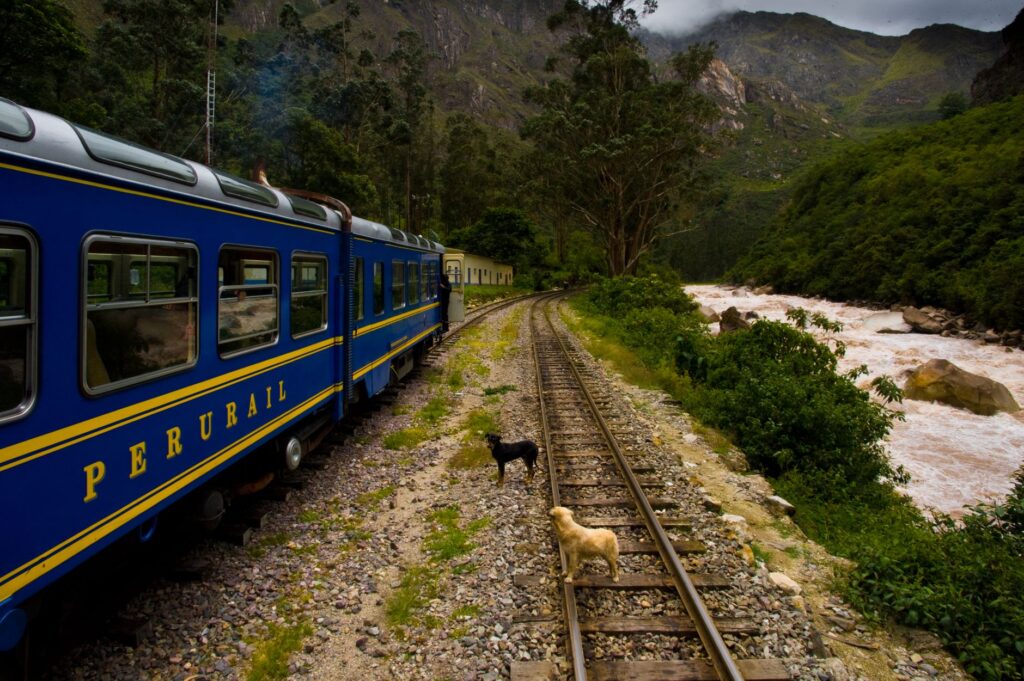 El Ferrocarril del Sur del Perú: Ingeniería andina, geografía extrema y la arteria ferroviaria entre Arequipa y Puno