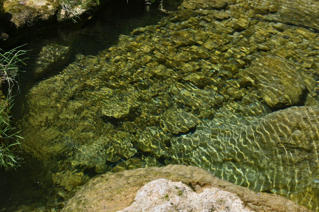 El latido de los páramos andinos: cómo la restauración de bofedales y la gobernanza comunitaria transforman la conservación en el Parque Nacional Sangay