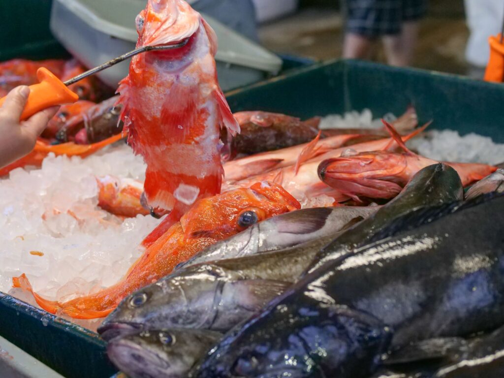 El secreto del roble y la marea: la liturgia del Mercado Central de Pontevedra y los tesoros de las Rías Baixas