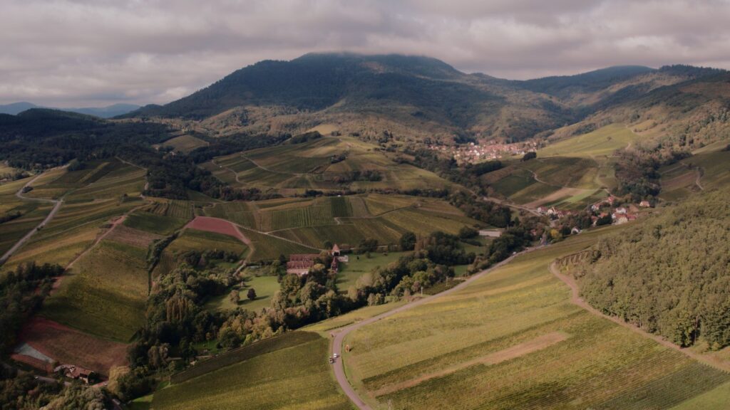 El latido meridional de la Alsacia: Canales vitícolas, esclusas fluviales y la conectividad transfronteriza del canal de el Marne al Rin