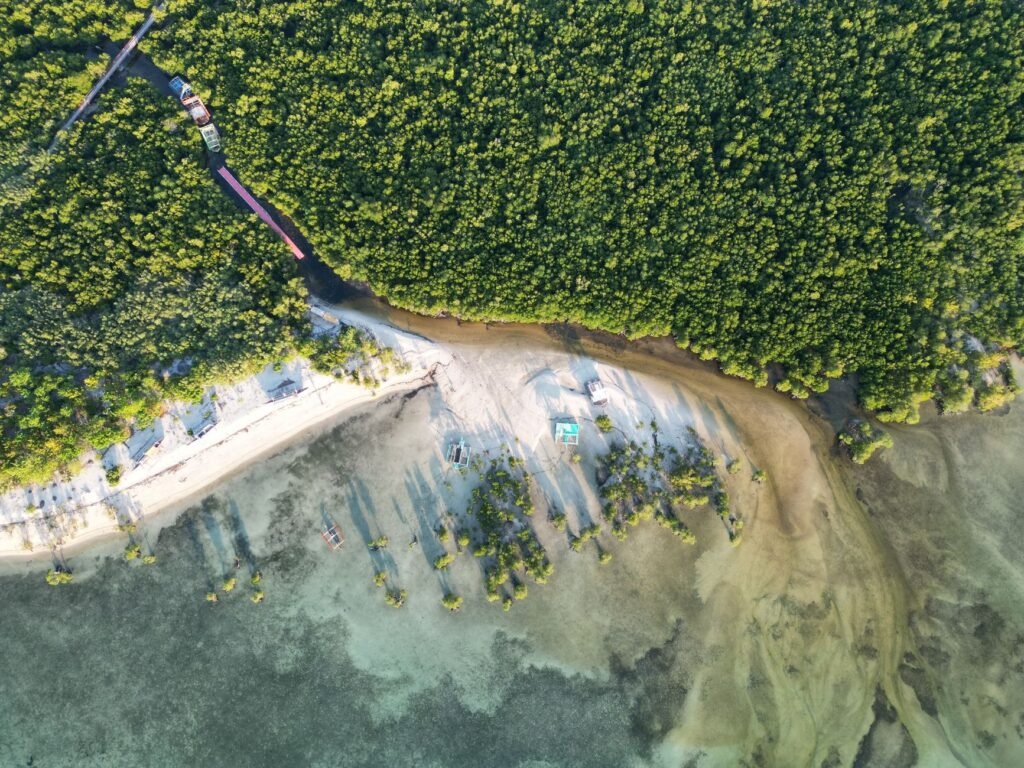El latido de los canales de Zanzíbar: la logística dhow, los puertos de marea y la conectividad anfibia del archipiélago