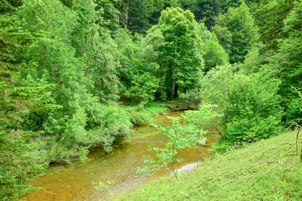Fougeres y los caminos de granito: una travesía medieval por el corazón verde de la Bretaña Francesa
