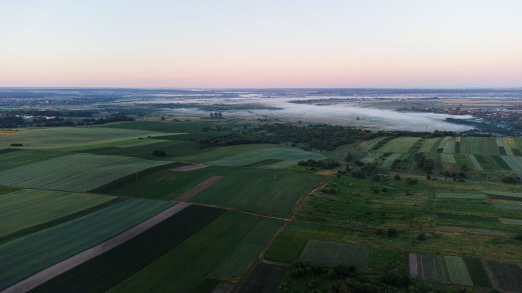 El latido de la huerta y el fuego: La cocina de territorio y el producto absoluto en los restaurantes de la Ribera de Navarra