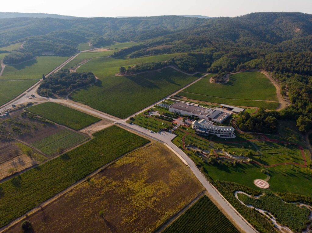 El latido de la vid: doce hoteles vitivinícolas del mundo donde el vino se habita