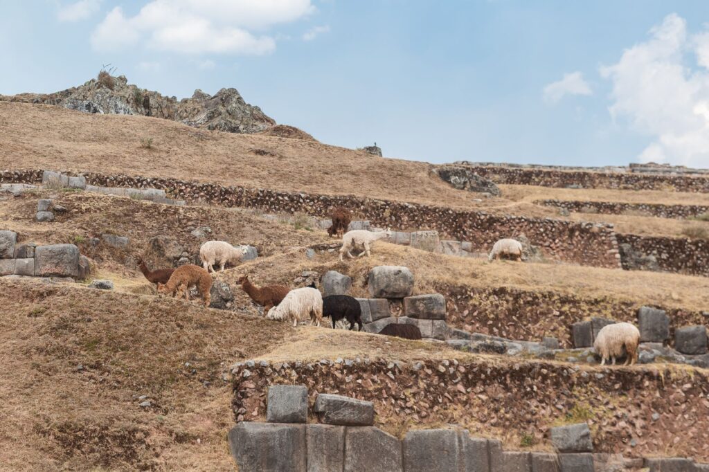 El laberinto de las lagunas andinas: cómo la movilidad comunitaria y las rutas solares transforman el transporte en el altiplano de Cuzco
