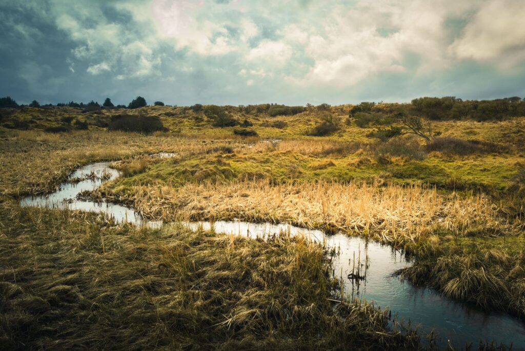 El silencio milenario de los canales de Flandes: navegación fluvial y lentitud monástica en la ruta de Brujas a Gante