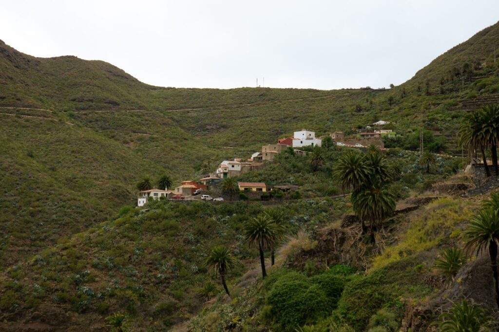 El Ferrocarril del Teide: Ingeniería volcánica, logística insular y la conectividad ferroviaria histórica en Tenerife