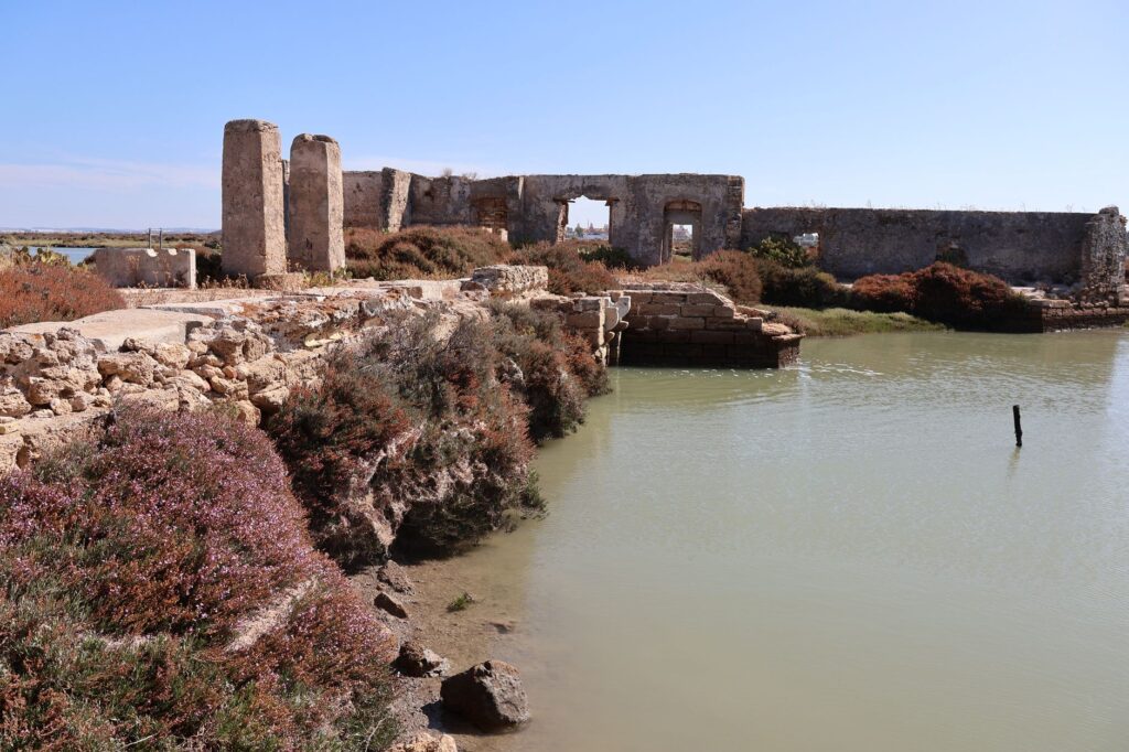 El secreto de la harina y el molino: la liturgia del pan candeal y los hornos de arcilla en los campos de Zamora