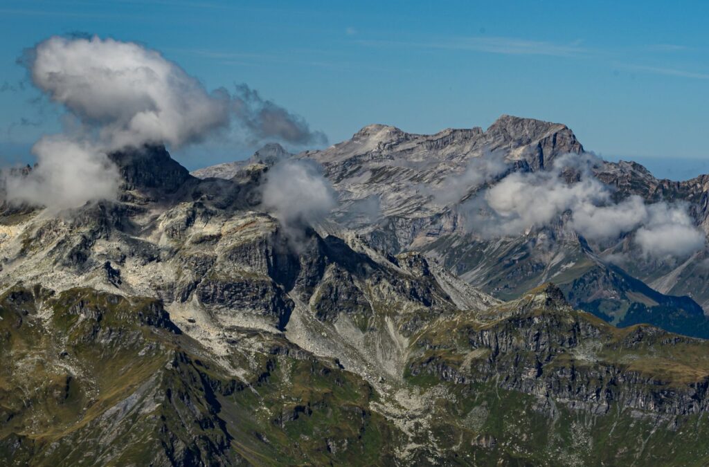 El refugio del urogallo pirenaico en los bosques de abetos de la cordillera: ecología forestal y conservación en los altos valles