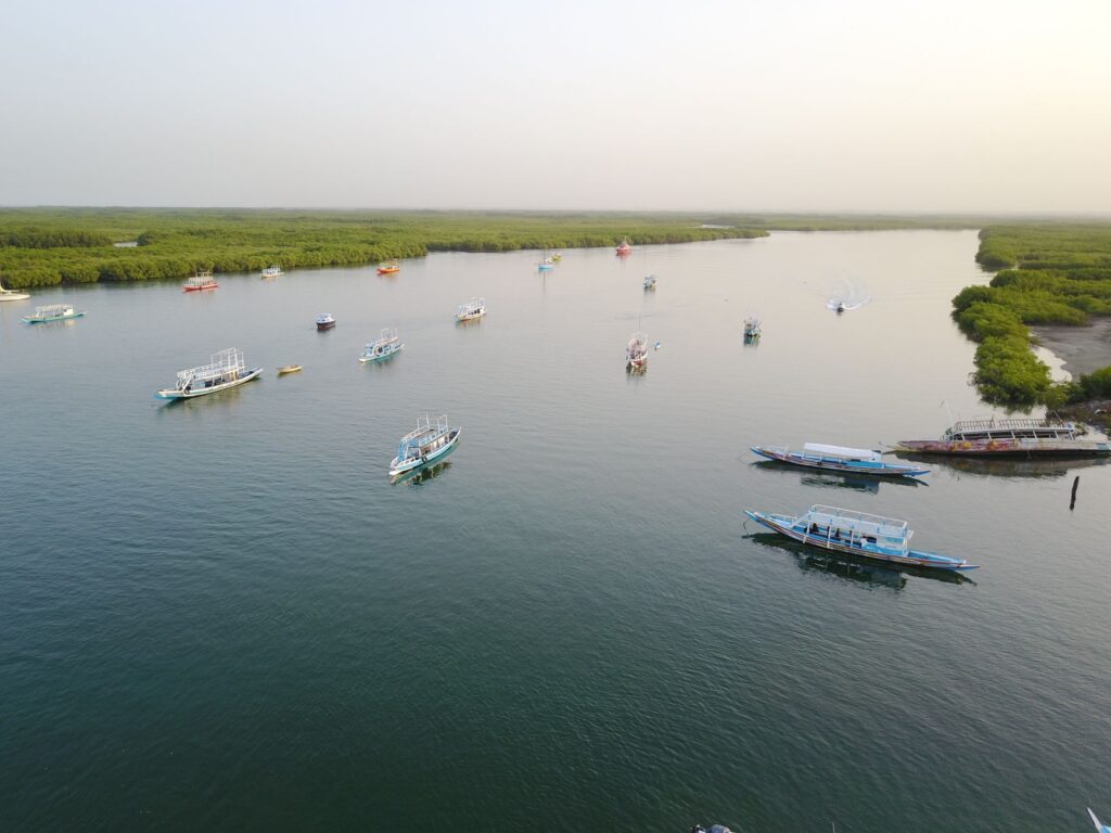 El laberinto de hierro y sal: la conectividad fluvial del delta del río Gambia y sus barcos de correo