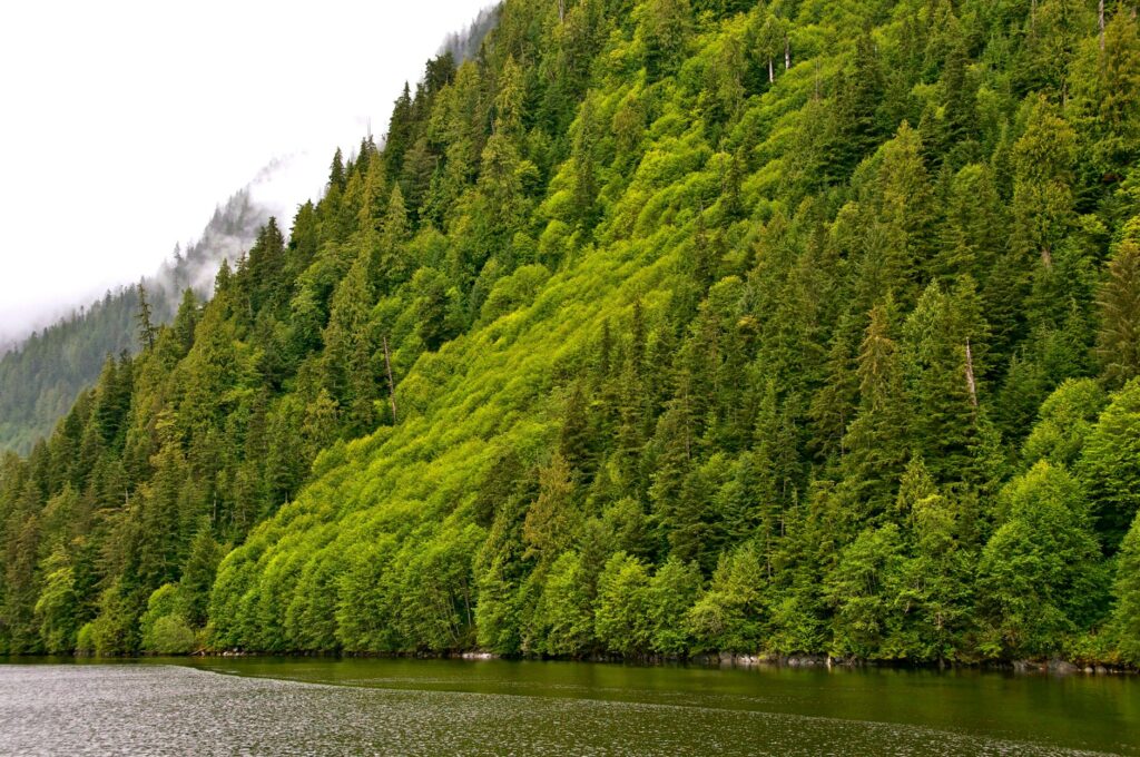 British Columbia en el radar de Mega Travel: La nueva frontera natural de Canadá