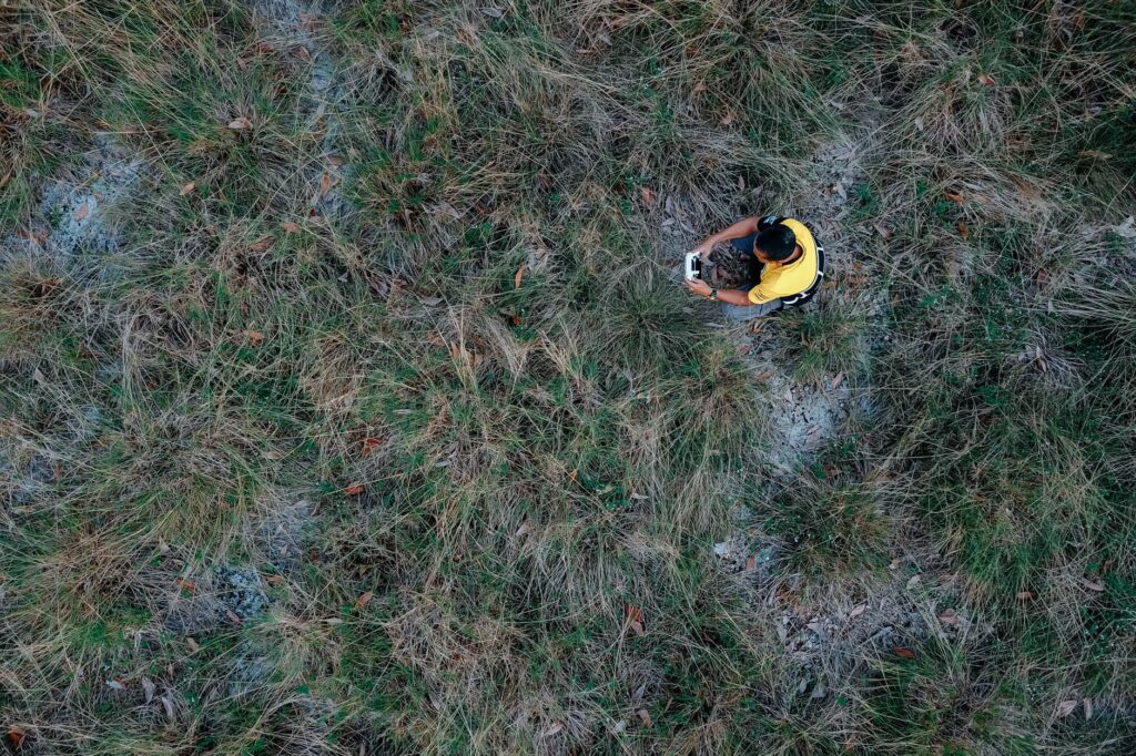 El Refugio del Oso Hormiguero Gigante en los Llanos: Ecología de Sabana y Conservación en la Orinoquia