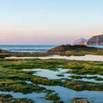 El latido de las praderas sumergidas: cómo la restauración de posidonia y la pesca artesanal transforman la conservación en el Parque Natural del Cabo de Gata