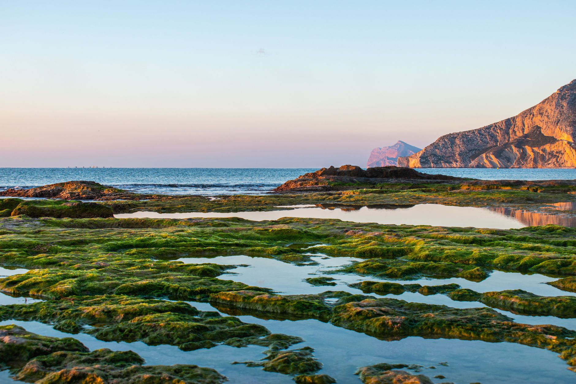 El latido de las praderas sumergidas: cómo la restauración de posidonia y la pesca artesanal transforman la conservación en el Parque Natural del Cabo de Gata