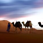El Renacimiento del Desierto: Oriente Medio y la Nueva Era del Turismo Global