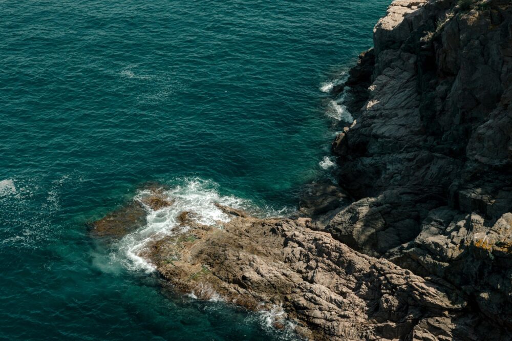 El Santuario Submarino de Lord Howe: Arrecifes Australes, Endemismo Volcánico y Conservación en el Mar de Tasmania
