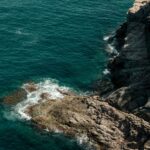 El Santuario Submarino de Lord Howe: Arrecifes Australes, Endemismo Volcánico y Conservación en el Mar de Tasmania