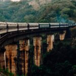 El latido del Transgabonés: ingeniería forestal, minería y conectividad en el corazón de África Central
